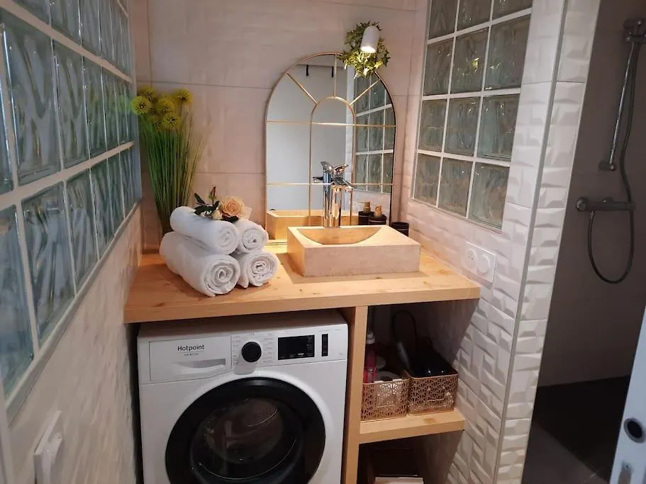 Appartement Pentes De La Croix-Rousse Le Lyon D'Or 0*,  France