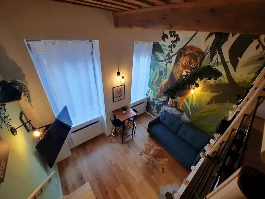Appartement Pentes De La Croix-Rousse Le Lyon D'Or