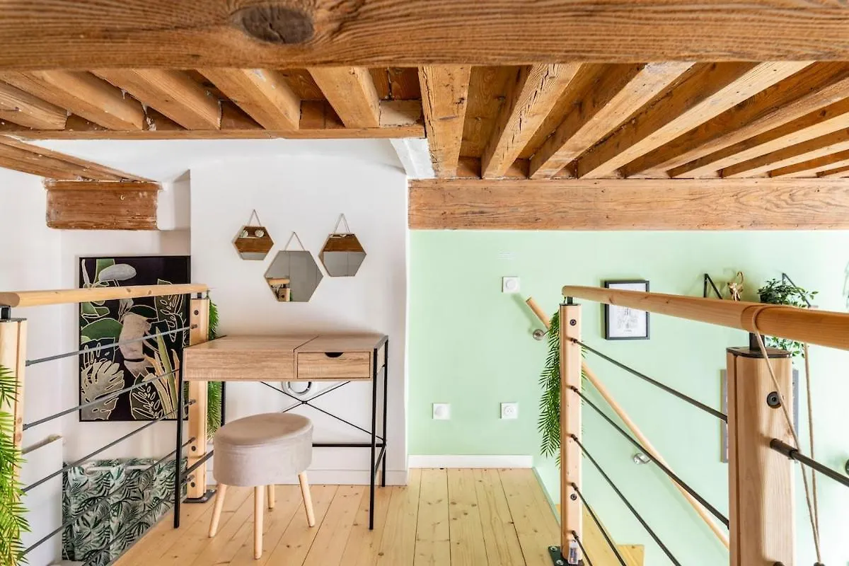 Appartement Pentes De La Croix-Rousse Le Lyon D'Or France